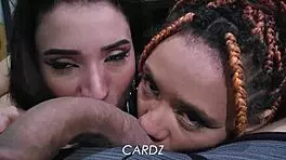 Two naughty chicks sucking cock hard
