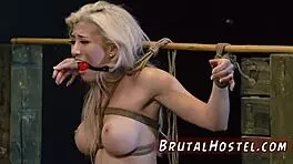 Cristi Ann, the big-breasted blonde, says,
