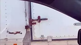 Curvy Liyah Bunni caught sucking big black cock on the highway