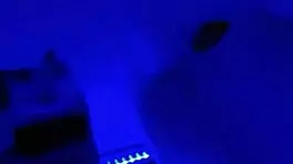 Bruja Come Hombres Es Captada En Camara