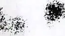 Japanese teen fucks friend in lingerie