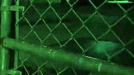 Anya Olsen’s wild outdoor public gangbang as a sexual slave is just BRUTAL BANGING madness!