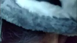 White Wolf Ofc - Ela Não Pode Me Ver Que Já Quer Chupar Novinha Submissa White Moon