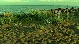 nicole naked by the sea touching her body