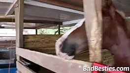 Lustful Girls Suck Candy And Get Hugged Tightly