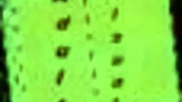 summertime saga episode with big ass focus