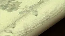 Check out this amateur anal with a petite teen and horny milf