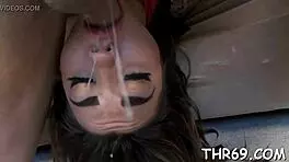 free porn blowjobs