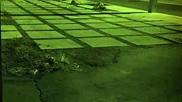 in this home orgy, teen gets anal and piss hd