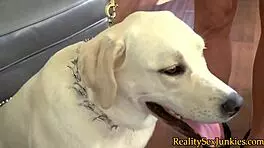 Doggystyle pornstar bent over for big cock hardcore fucking and cumshot.