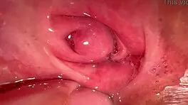 amateur pink pussy 172 days after losing her virginity