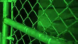 Sex Contest Rough Outdoor Public Hook-Up Is Anya Olsens Only Option