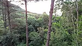 Seduced Stepfather to Fuck on Balcony?