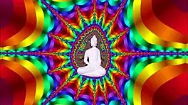 mix de belles filles jeunes européennes asiatiques arabes avec gros seins