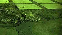 Intense rough hardcore gangbang session dominates teen with extreme banging and group action