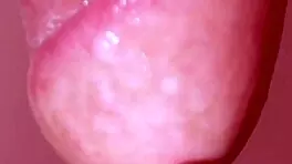 Young woman blowjob close-up