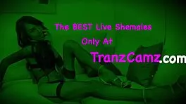 teen shemales fuck and eat tranny asses 😈