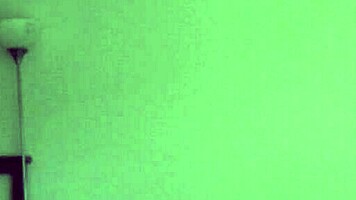 Homemade Video Scene Number 029