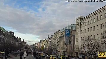 jai from hunt4k catches a victim in his sexual trap for hidden cam pickup blowjob