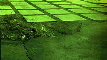 Hd teen 18+ bath solo unless you're from the sixties and dig that earth