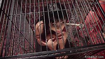 Petite Asian Slave Banged with Anal Strap-On