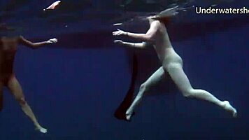 Sea Adventures On Tenerife Underwater