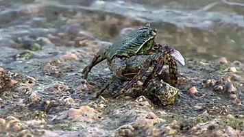 Sexy Teen 18+ Milana G's Swimsuit Fetish!