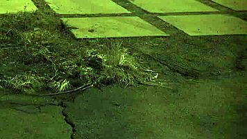 old man dominates teen with beard and bondage