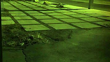 Blonde Teen Bound and Anal Punished in Garage