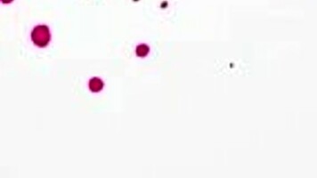 Wow! Petite blonde step sis Skyler Storm squirts on Christmas!