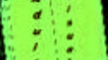 Father jack wants you to join the pleasure game 😏