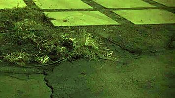 Step Mom Teaches Two Daughters Sex, But Milf Catches The Teen In Action! 😏