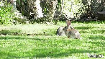 slutty teen lesbian fingers and toys her nun stepsister, leading to 69ing and face sitting