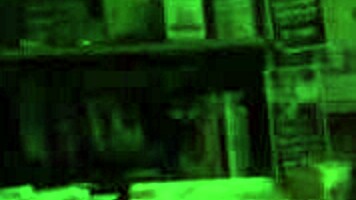 Blowjob By Tattooed Luna Amateur With Pierced Nipples Teen Scene