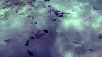 Public Exhibitionist German Teen 18+ VeronikaVonk Shows Big Boobs by Sea!