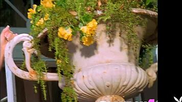 WOW, look at this BEAUTIFUL big tits model RIP her clothes and POSE with her AMAZING boobs!