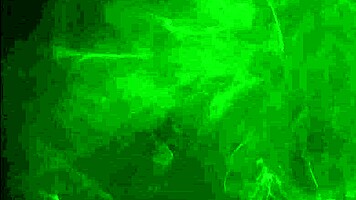 i tease my skinny teen slavegirl's small tit's.