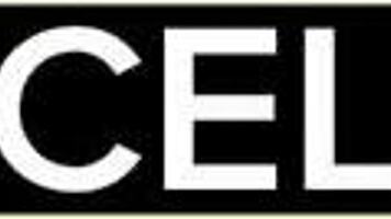 couple getting rough in bdsm fucking 😈