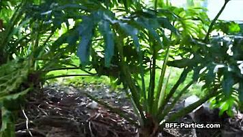 Skipping Class Turns Into Sharing Cock After Getting Caught