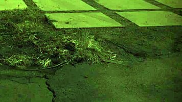 I'm a latin teen with big boobs, ready for bdsm domination in all holes