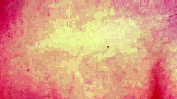 radiant brunette poses for photoshoot interview