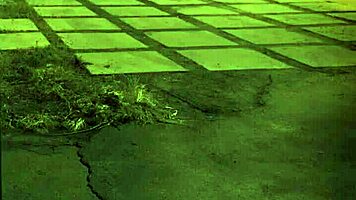 bdsm session with rough doggy style and bondage in hd