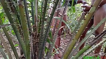 i invited him to my bed for a visit.