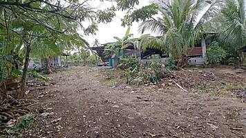 Pinay scandal unfolds with public sex. Asian student couple caught in steamy creampie action.