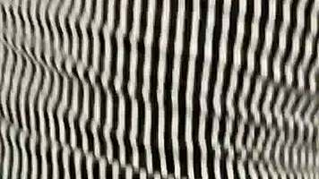 Caught in forest begging for dick