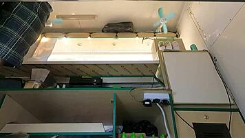 Hot babe in pink skirt, caught on hidden camera upskirt at work?