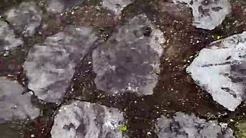 young couple records sex in medellin park, things go wrong