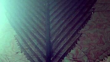 elza kom in nylon tights fetish with curvy escorts, big ass, asshole, and ebony amateurs