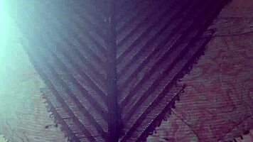 elza kom in nylon tights fetish with curvy escorts, big ass, asshole, and ebony amateurs