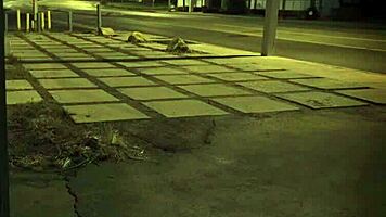 Bound teen 18+ teases on webcam